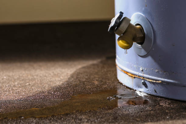 Best Commercial water damage restoration  in La Presa, CA