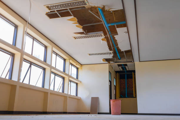 Best Carpet water damage restoration  in La Presa, CA