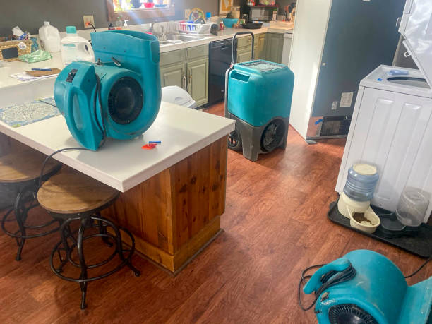 Best Basement water damage restoration  in La Presa, CA