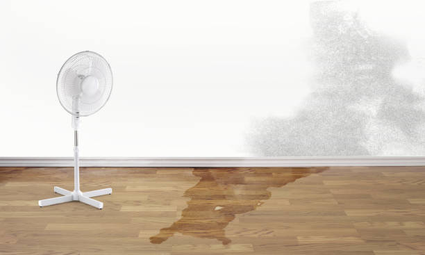 Best Sewage cleanup and water damage restoration  in La Presa, CA