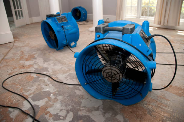 Best Water damage restoration mold remediation  in La Presa, CA